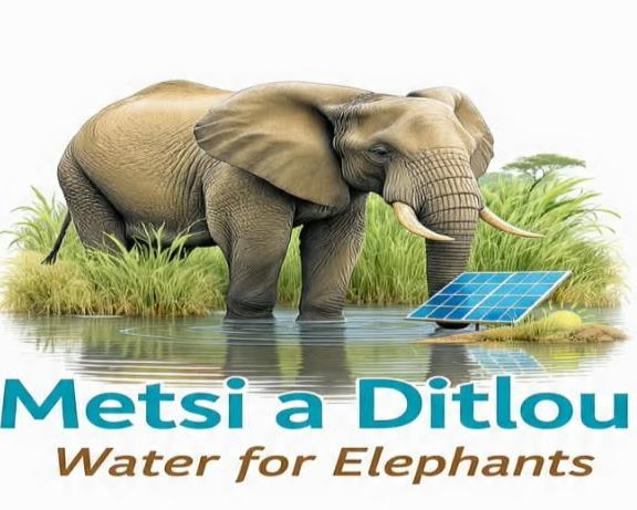 Metsi a Ditlou